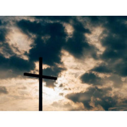 Lightweight Wooden Bottle fr-FR